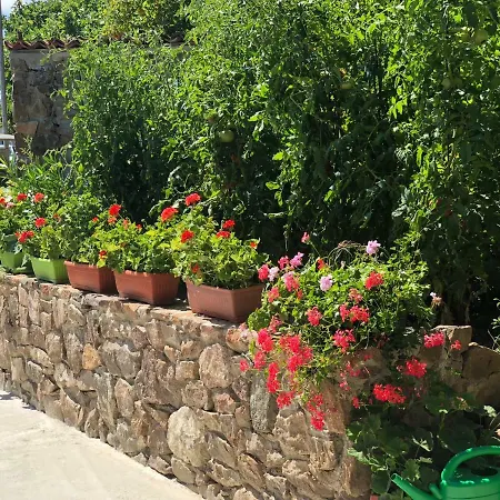 The Greek House 招待所